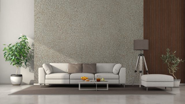 Minimalist living room with white sofa